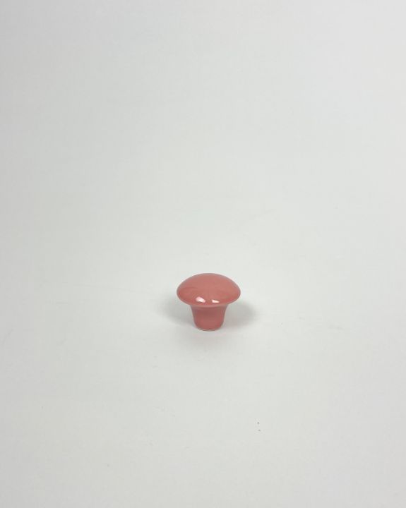 handle & hooks plain coral s