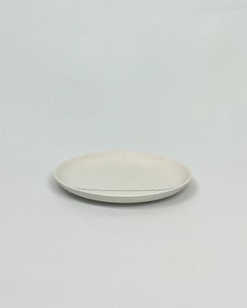 kyst plate waves l