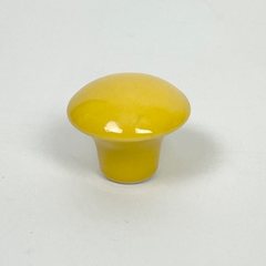 plain mango
